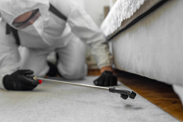 Professional Termite Control technician working in Cannon AFB, NM