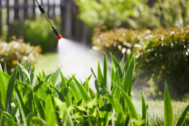 24/7 Emergency Termite Control experts in Cannon AFB, NM