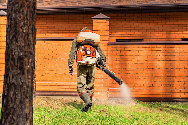 Trusted Emergency Pest Control service in Cannon AFB, NM - Nex Pest Control